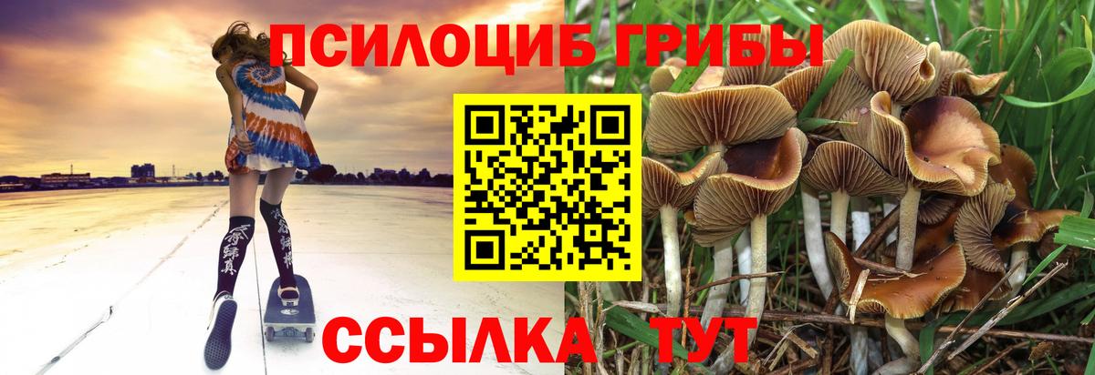 Белгород  Галлюциногенные грибы мухоморы  Вход с VPN 