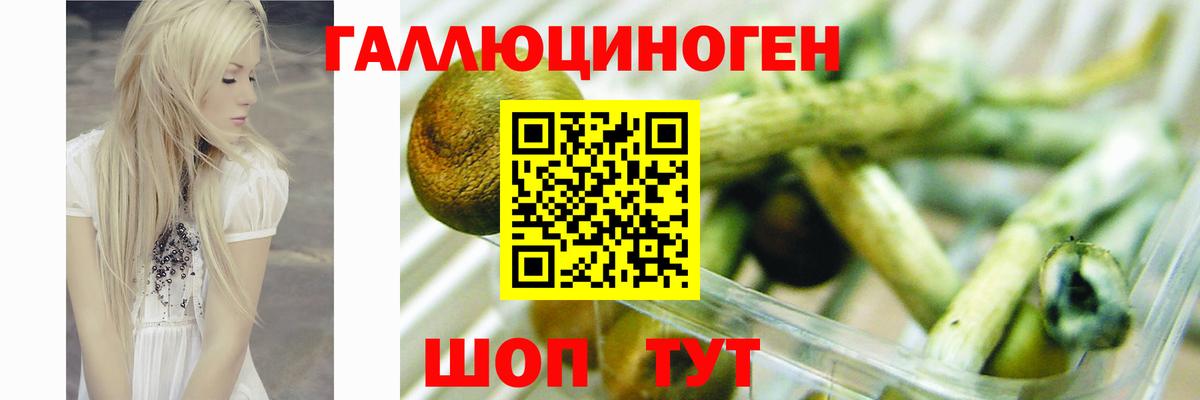 Меф   Белгород  Вход с VPN  A PVP СОЛЬ   ГАШ  Кокаин  Конопля  Канабис  ГАШ  Экстази 