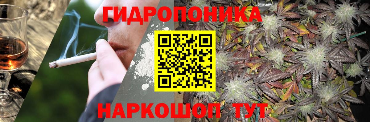 Бошки Шишки конопля Белгород